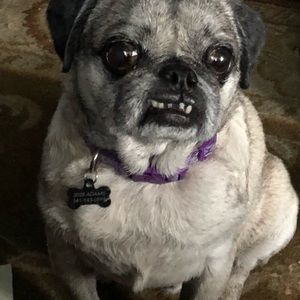 Meet your Posher, Newanna